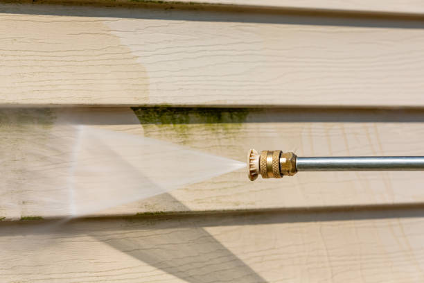 Best Best Pressure Washing Companies  in Moa, UT